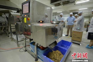 探訪“中國食用菌之都” 福建古田的產業密碼——機械與原輔材料的現代化之路